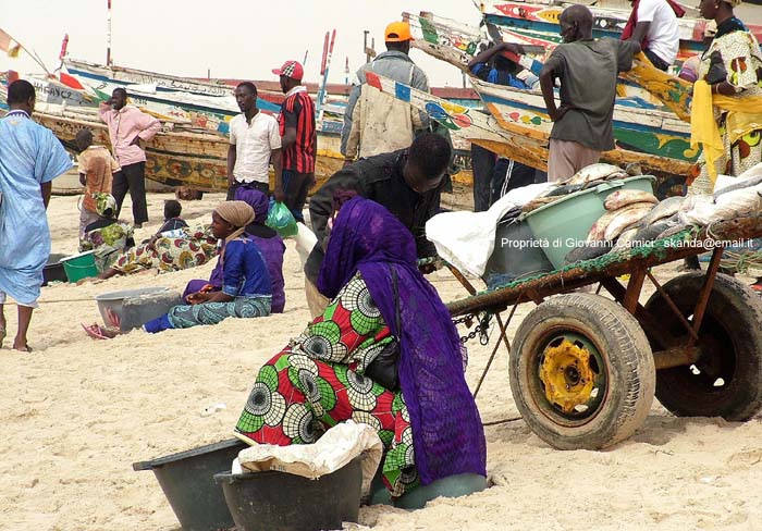 Mauritania: viaggio in Africa -  Nouakchott, Port de Peche
